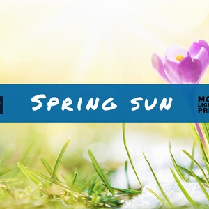 May include: A vibrant image with a spring theme. The foreground features green grass and purple crocus flowers. A blue banner across the center reads "SPRING SUN" with "Mobile Lightroom Presets" in the corner. The background is a soft, blurred yellow.