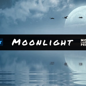 10 Mobile Lightroom Presets. Night Photography Filters. Easily Edit Photos By Yourself. Stars Moon Dark Moody For Instagram Feeds