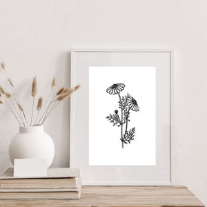Floral Wall Printable Art | Minimal Flower Print | Line Art Flower | Wildflower Printable Art | Botanical Floral |