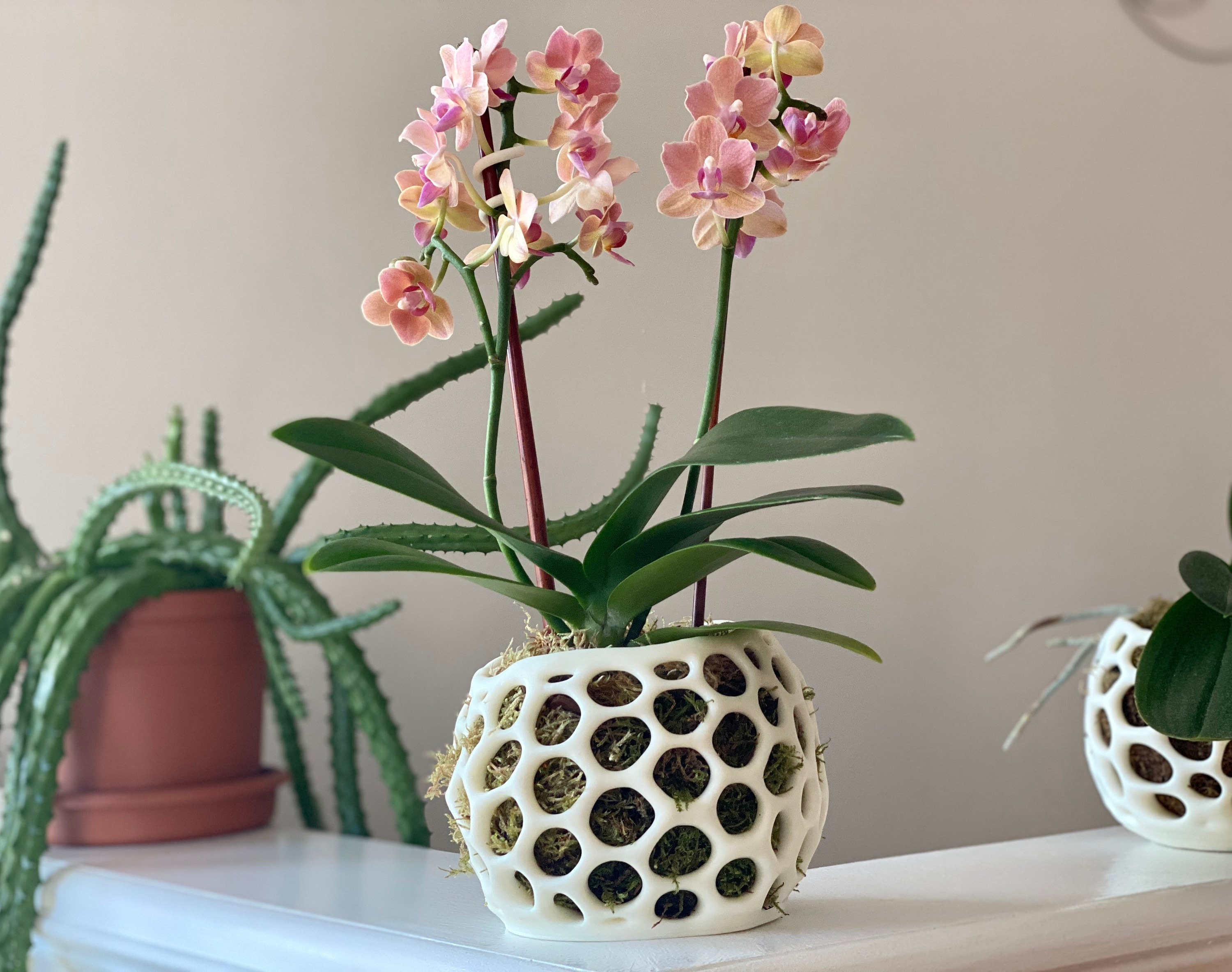 Orchid Pot Mushroom Design 2.0 3D Printed - Etsy