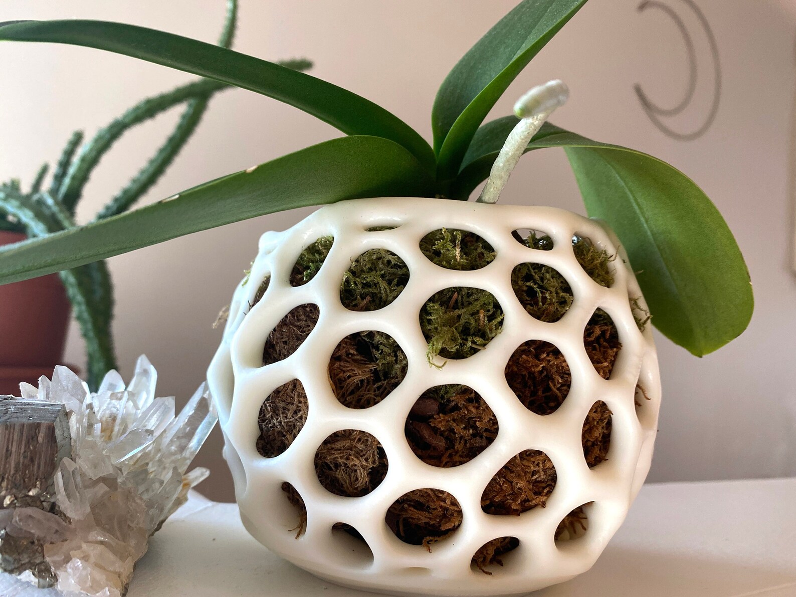 Orchid Pot Mushroom Design 2.0 3D Printed - Etsy