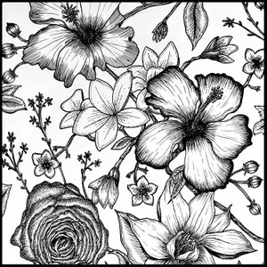 Floral - PRINT - Etsy