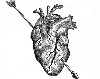 Shot Through The Heart - PRINT