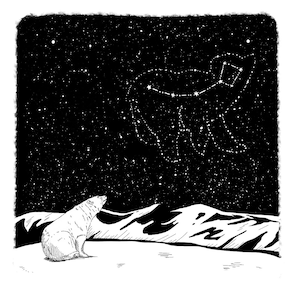Ursa Minor