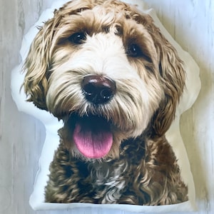 Customized Pet Pillow Gift Keepsake
