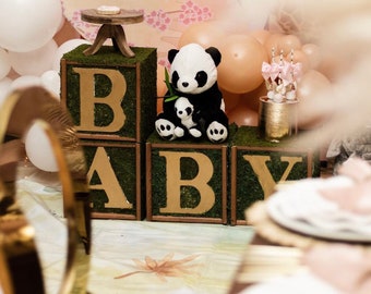 Letter Blocks Baby