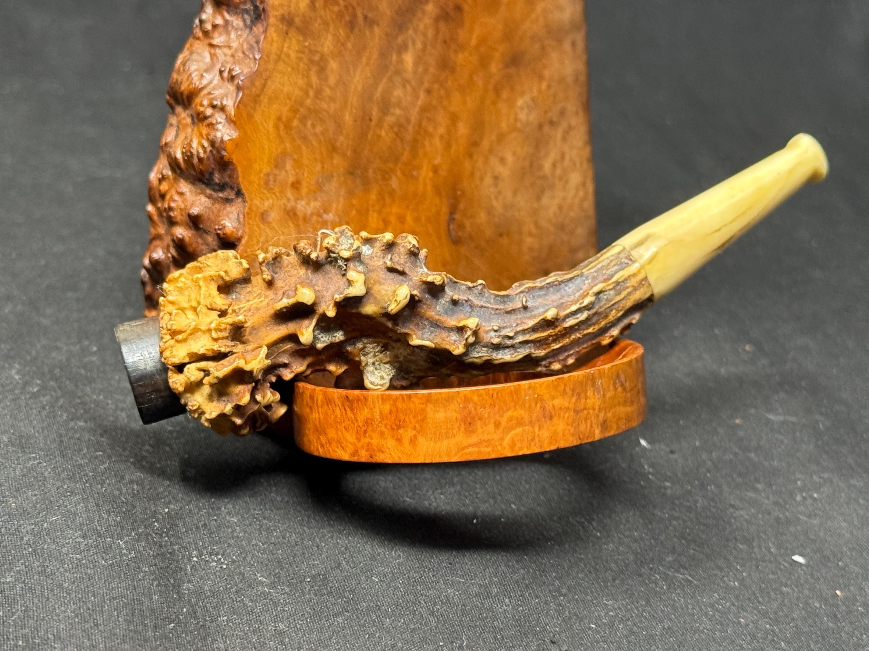 Victorian Antler and Horn Cheroot Holder, circa 1890-1910 - Rare Tobacciana 2