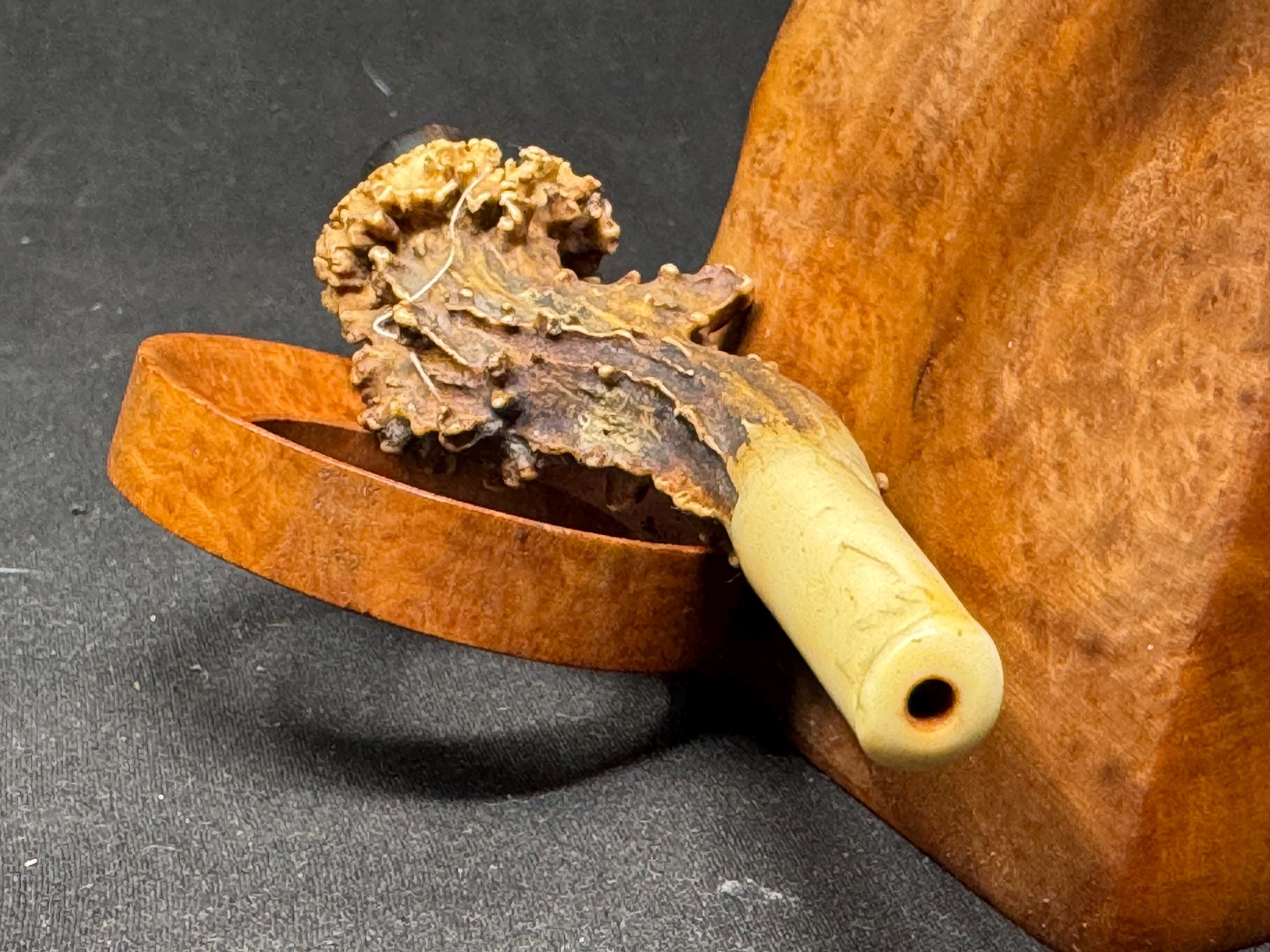 Victorian Antler and Horn Cheroot Holder, circa 1890-1910 - Rare Tobacciana 5