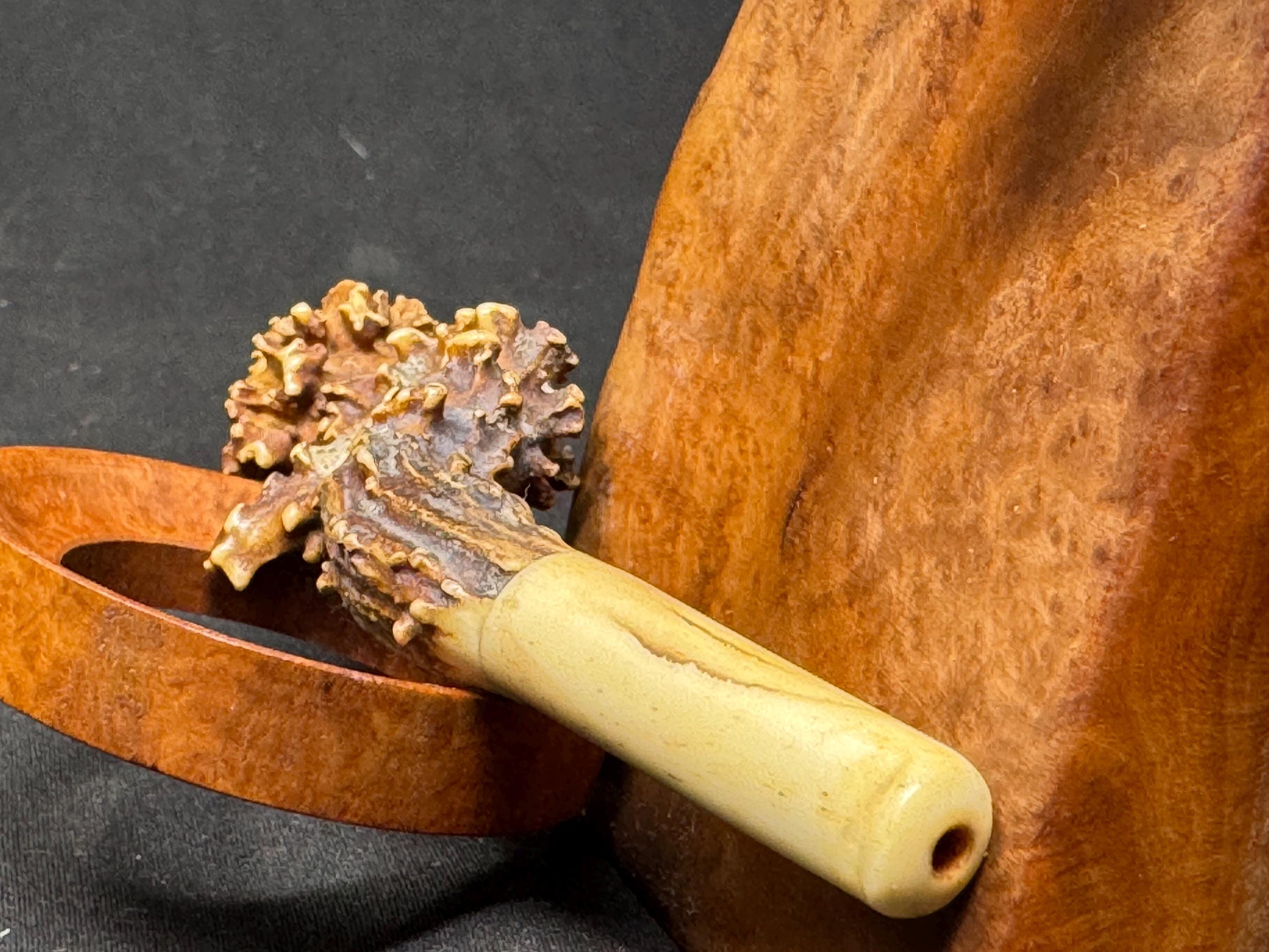 Victorian Antler and Horn Cheroot Holder, circa 1890-1910 - Rare Tobacciana 8