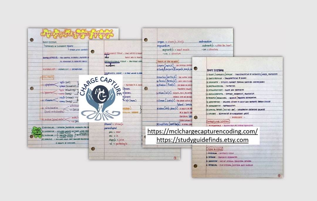 17-page PDF File of the Handwritten Summarized Notes About Body ...