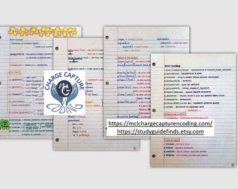 Archivo PDF de 17 páginas con notas resumidas manuscritas sobre la estructura corporal y la terminología direccional