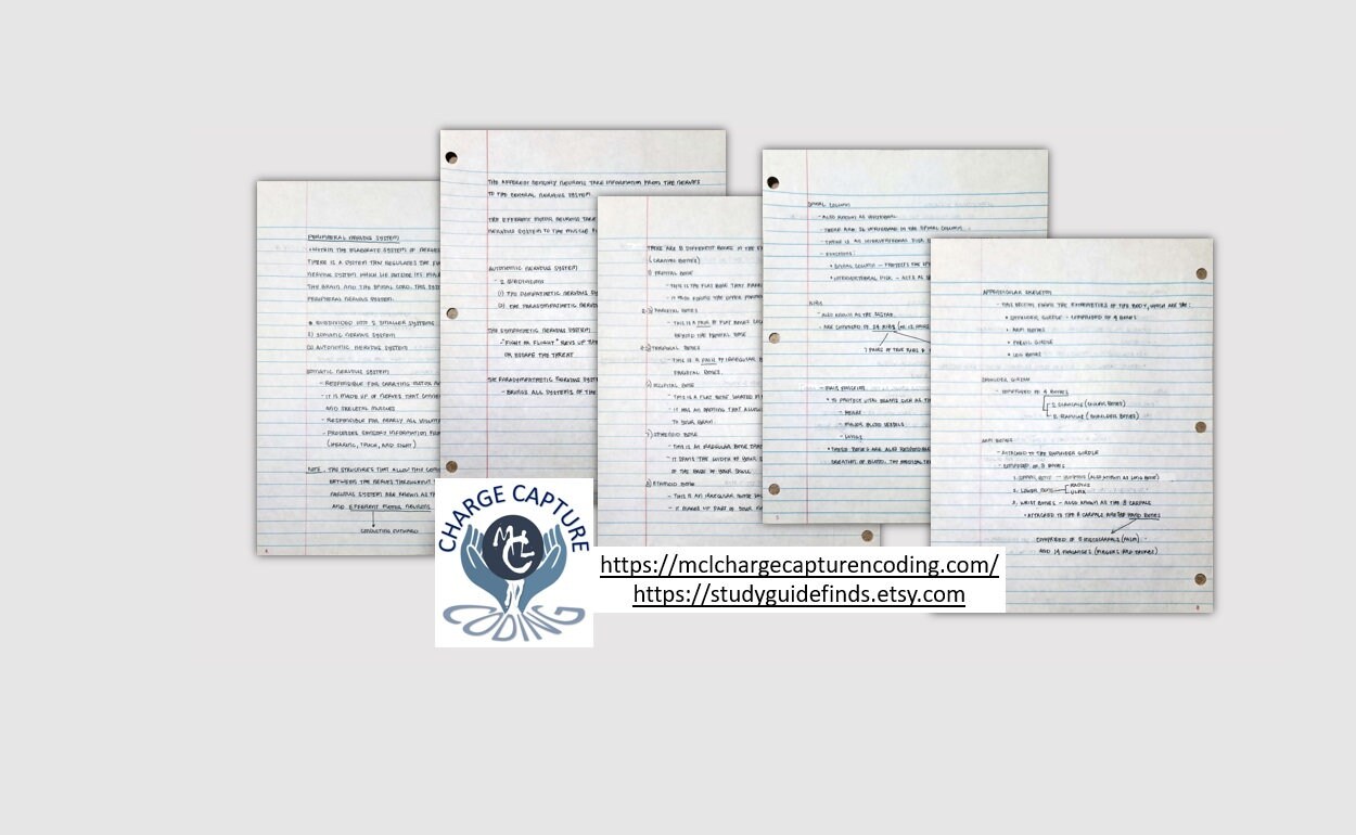 55-page PDF File of Handwritten Summarized Notes on Body Systems - Etsy