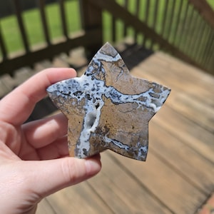 Puede incluir: Una talla de piedra en forma de estrella con un patrón complejo de vetas minerales de color tostado, marrón y blanco. La superficie muestra una mezcla de tonos tierra con intrincadas estructuras cristalinas blancas y una pequeña cavidad.