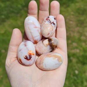 Carnelian X Flower Agate Stone