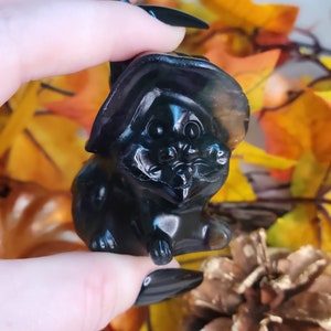 Fluorite Cat with witch hat