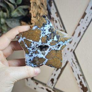 May include: A star-shaped stone, featuring a striking pattern of brown, white, and black. The stone has a textured surface and a central hole. The star is held in a hand, highlighting its natural beauty.
