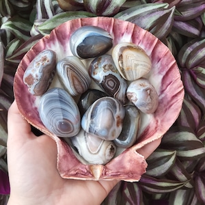 Botswana Agate tumble stone