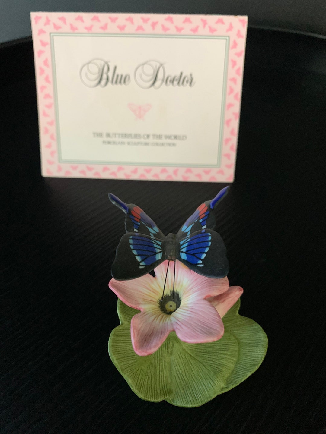 Blue Doctor Butterfly From the Butterflies of the World Etsy