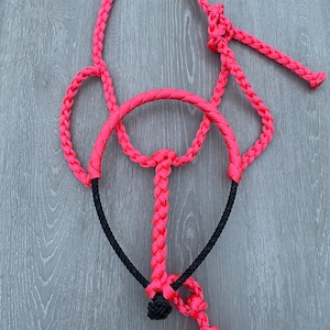May include: A pink braided rope halter with a black rope noseband. The halter is tied in a knot at the top and has a long, braided rope lead attached.