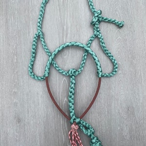 May include: A teal braided rope halter with a brown leather noseband and teal tassels.
