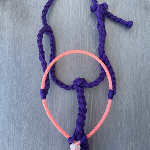 Lariat Mule Tape Halter
