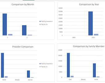 Health Bill Spreadsheet, Track Insurance Expense, Digital Download, Excel Tracker, EOB Statement Tracker
