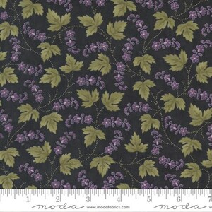 Iris Ivy Ebony 2252 15  Jan Patek Moda
