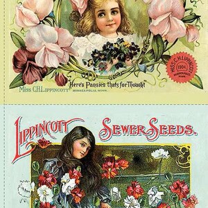 Sewing Seeds Panel PD15680 J Wecker Frisch Riley Blake