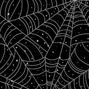 In A Web Large Black Benartex Kanvas  Bolt Fabric