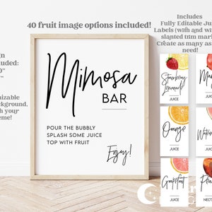 Nuenen Mimosa Bar Kit Wooden Mimosa Bar Sign 4 Glass Carafe 5 Greenery  Placecard 5 Bottle Tag 100 Paper Straws 100 Disposable Plastic Cups 5  Hanging