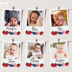 Berry First Birthday Photo Banner| 1st Birthday Photo Banner Milestone | Berry First Birthday | Instant Download | Editable | Customizable