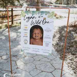 May include: A white and green first birthday sign with a photo of a baby boy. The sign says "Logan is a Wild One" and includes details about the baby's height, weight, and favorite things.
