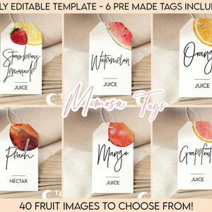 Fruit Watercolor Modern Mimosa Tags | Minimalist Simple Modern | Juice Labels | Juice Tags | Drink Tags