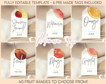 Fruit Watercolor Modern Mimosa Tags | Minimalist Simple Modern | Mimosa Sign | Juice Labels | Juice Tags | Drink Tags