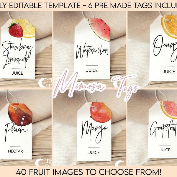 Fruit Watercolor Modern Mimosa Tags | Minimalist Simple Modern | Mimosa Sign | Juice Labels | Juice Tags | Drink Tags