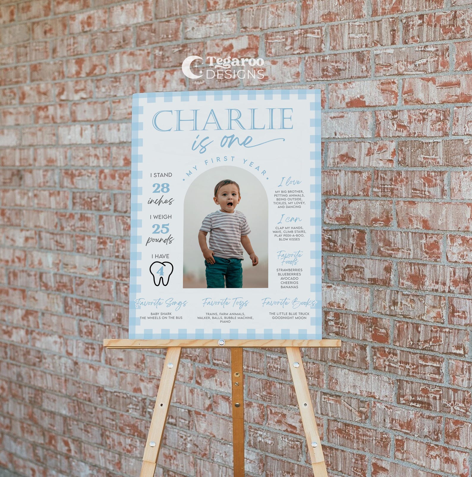 Blue Gingham First Year Photo Banner | Minimalist | 1st Birthday ...