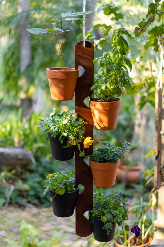 6 plant pots LAMDAWN Cute Ceramic Succulent Garden Pots, Planter with Drainage and  Attached Saucer, Set of 6 -Plants Not Included (Vivid Colors) main image 0