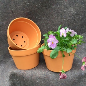 Terracotta Pot - Garden Hangers Plastic Pot image 3
