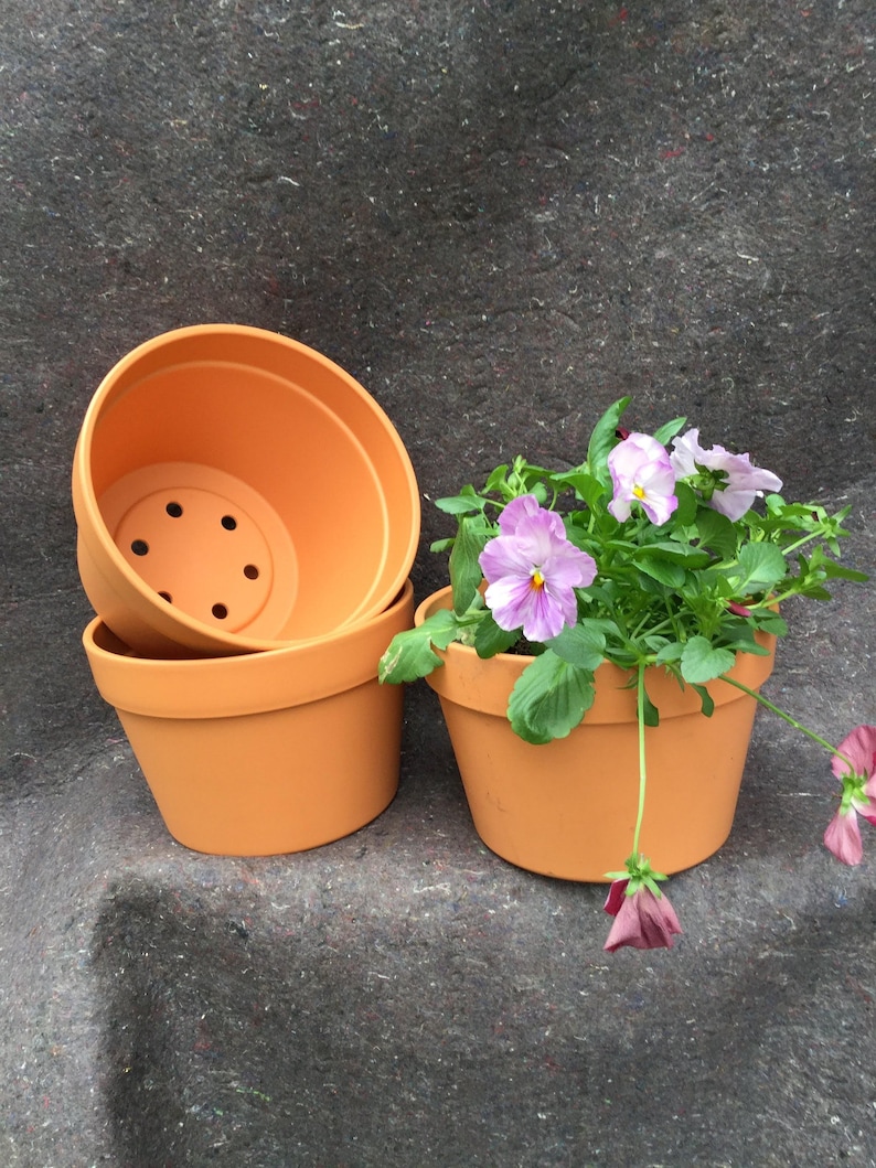 Terracotta Pot - Garden Hangers Plastic Pot image 3