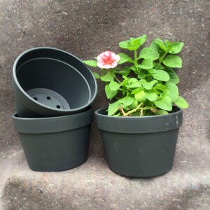 Terracotta Pot - Garden Hangers Plastic Pot image 4