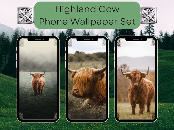 Highland Cow Digital Wallpaper Iphone Background Android Home - Etsy Highland Cow Digital Wallpaper Iphone Background Android Home - Etsy