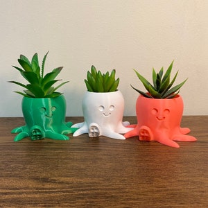 Peut inclure: Trois pots de fleurs en forme de pieuvre, chacun d'une couleur différente : vert, blanc et orange. Chaque pot a un visage souriant et contient une petite plante succulente.