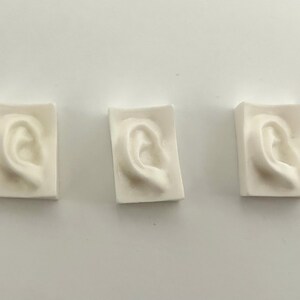 May include: Three small, rectangular, off-white sculptures of human ears. Each ear is sculpted in detail, showing the intricate folds and curves of the inner ear. The sculptures are arranged in a horizontal line against a plain white background.