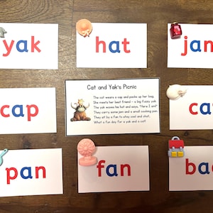 CVC words set of 40 trinkets miniatures - rhyme - short vowels - Montessori language objects - Phonics - I Spy - sensory bin - school