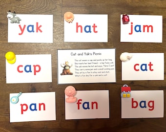 CVC words set of 40 trinkets miniatures - rhyme - short vowels - Montessori language objects - Phonics - I Spy - sensory bin - school