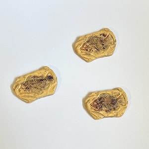May include: Three tan, rectangular-shaped objects featuring a dark brown, detailed relief impression of a fish skeleton. Each piece has a textured, uneven surface that mimics the appearance of stone, with the fish fossil centred on each item.