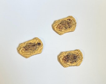 fossil fish - miniature decor collection museum archaeology Montessori language object - sensory bin - cabochon craft diy dollhouse resin