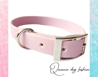 Dog collar in many colors, width 16 mm