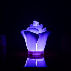 Rose Table Lamp Color Changing with Remote | Soft Glow Lamp | Small Desk Lamp | Gift for Her | Home Decor | Bedside USB Lamp