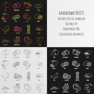 Hand-Drawn Fruits Clipart Bundle: Doodle Icons (PNG, EPS, Digital Download)